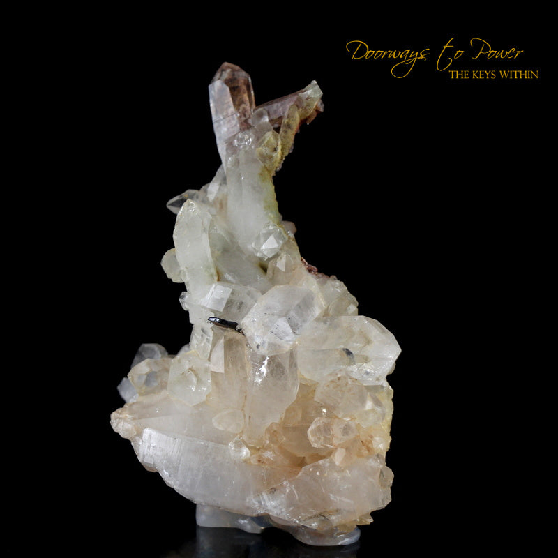 Brookite Synergy 12 Stone Specimen 