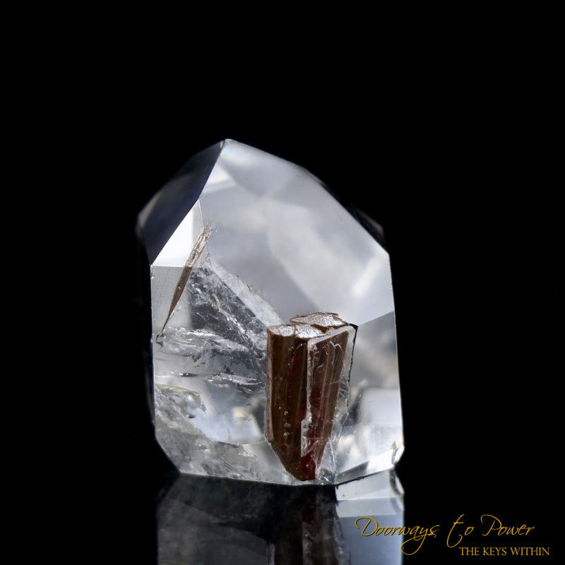 Brookite Synergy 12 Crystal Stone
