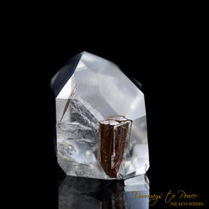 Brookite Synergy 12 Crystal Stone
