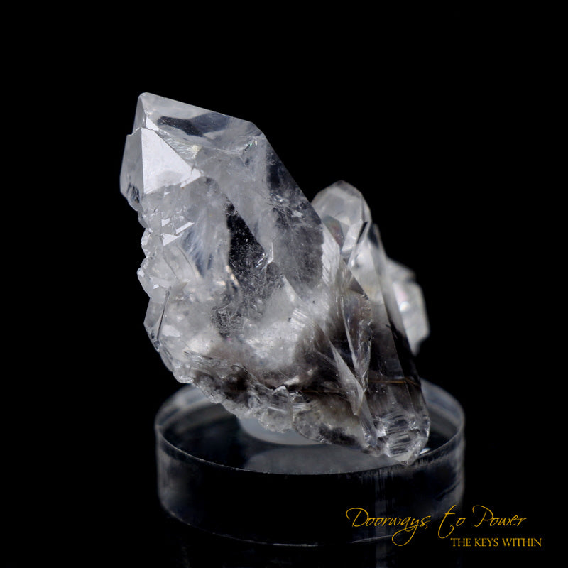 Brookite in Quartz Crystal Specimen 'Collectors Quality'