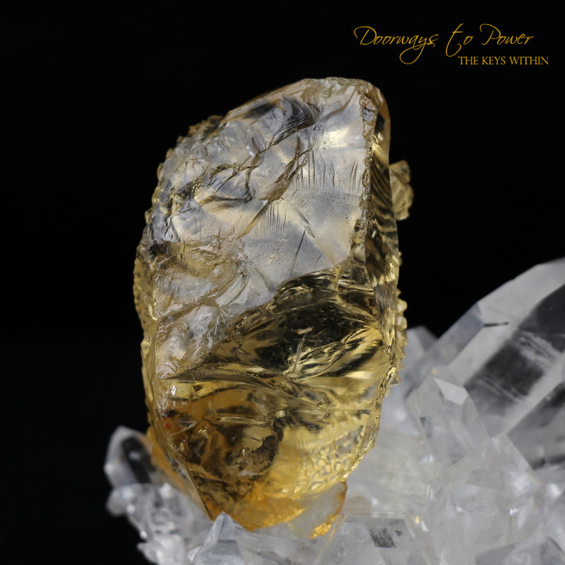 Citrine Dragon Crystal Carving