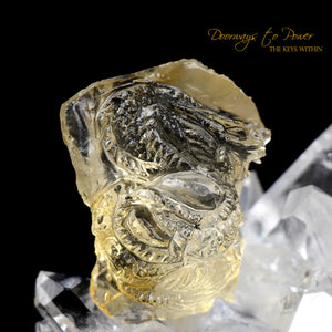 Citrine Dragon Crystal Carving