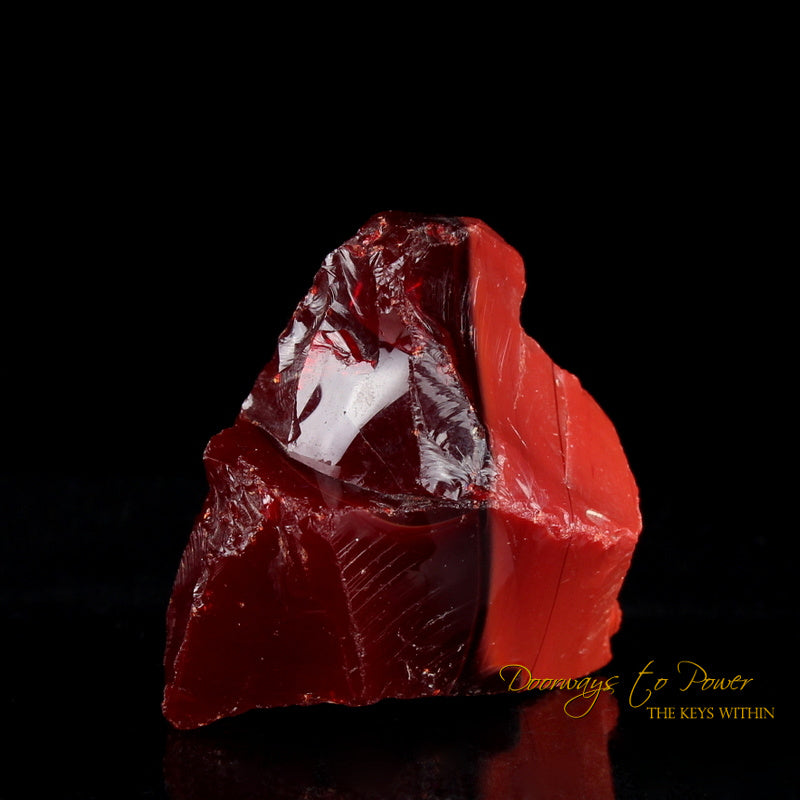 Dragons Blood King Solomon Bi Color Andara 'Magic & Alchemy'