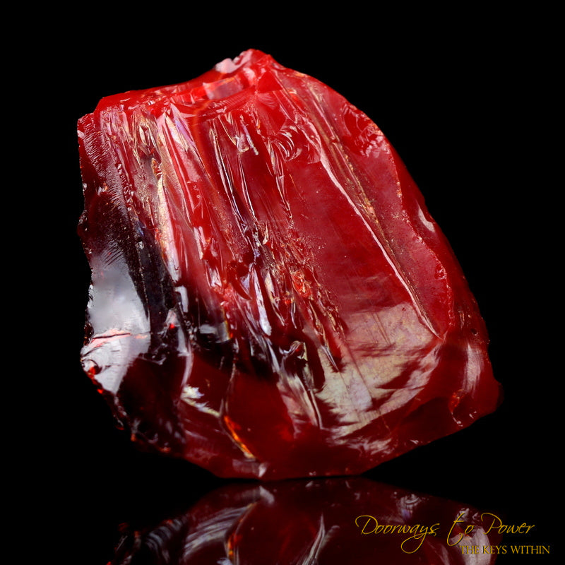 Dragons Blood King Solomon Bi Color Andara 'Magic & Alchemy'