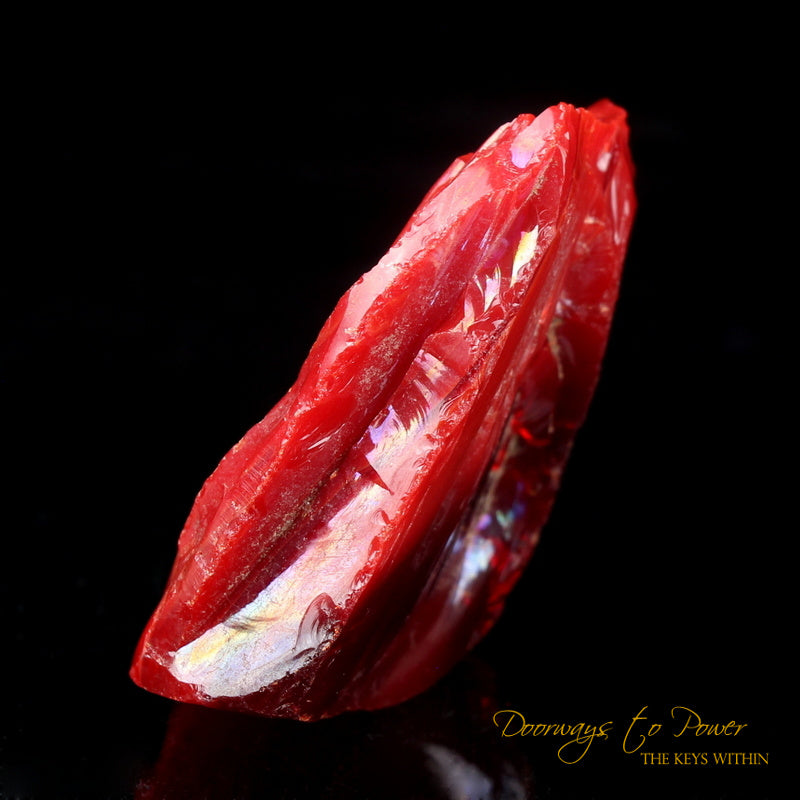 Dragons Blood King Solomon Bi Color Andara 'Magic & Alchemy'