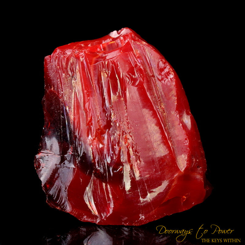 Dragons Blood King Solomon Bi Color Andara 'Magic & Alchemy'