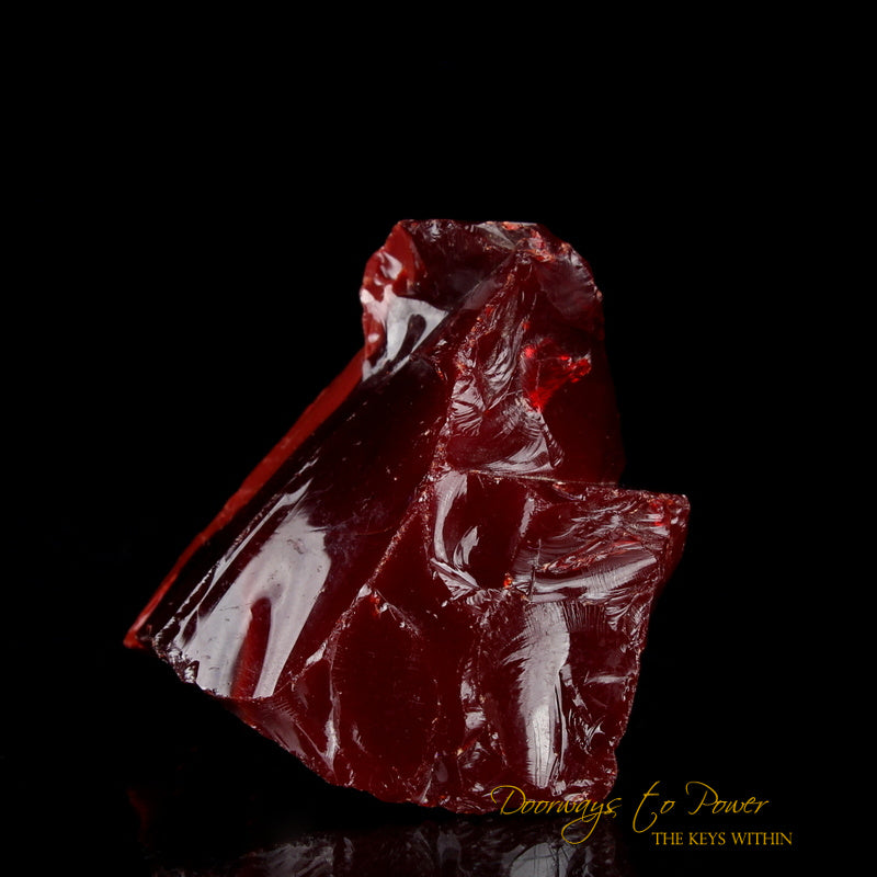 Dragons Blood King Solomon Bi Color Andara 'Magic & Alchemy'