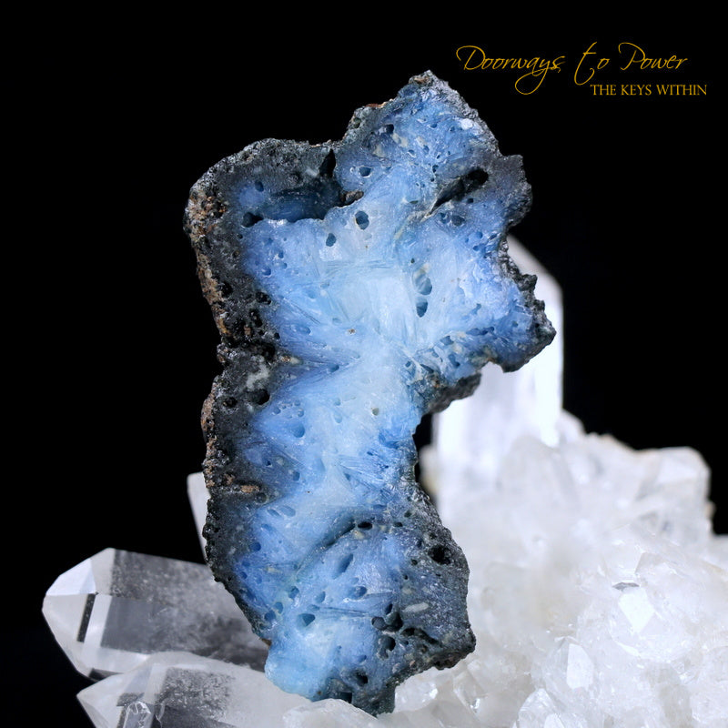 Glacierite Dragon Crystal Skull Carving 