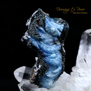 Glacierite Dragon Crystal Skull Carving 