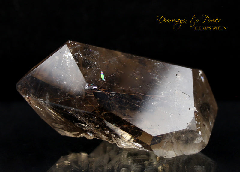 Golden Harmonics Rutilated Spirit Paths Quartz Crystal 'Bridge to Infinity'