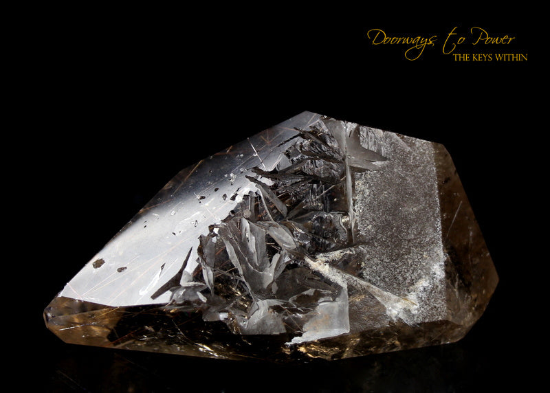 Golden Harmonics Rutilated Spirit Paths Quartz Crystal 'Bridge to Infinity'