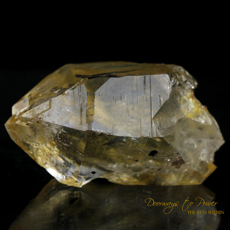 Golden Healer Himalayan Nirvana Quartz Crystal Record Keeper 'Non Ordinary Reality'