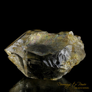 Golden Healer Himalayan Nirvana Quartz Crystal Record Keeper 'Non Ordinary Reality'