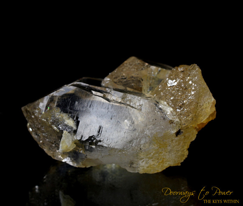 Golden Healer Himalayan Nirvana Quartz Crystal Record Keeper 'Non Ordinary Reality'