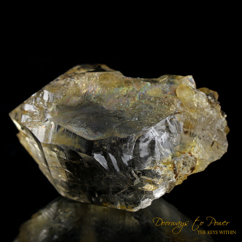 Golden Healer Himalayan Nirvana Quartz Crystal Record Keeper 'Non Ordinary Reality'