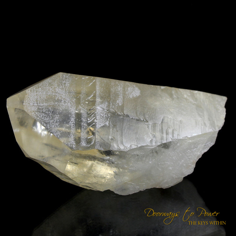 Golden Healer Lemurian Seed Quartz Record Keeper Crystal