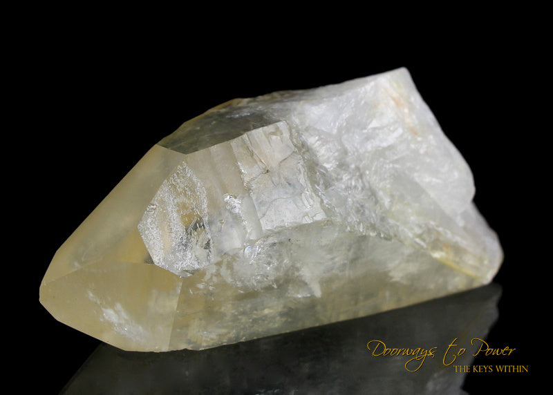 Golden Healer Lemurian Seed Quartz Record Keeper Crystal