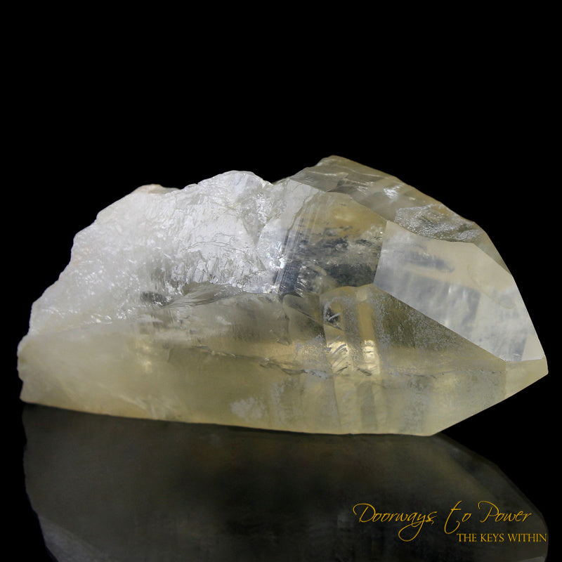 Golden Healer Lemurian Seed Quartz Record Keeper Crystal