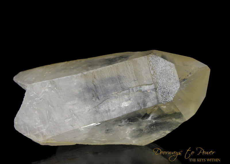 Golden Healer Lemurian Seed Quartz Record Keeper Crystal