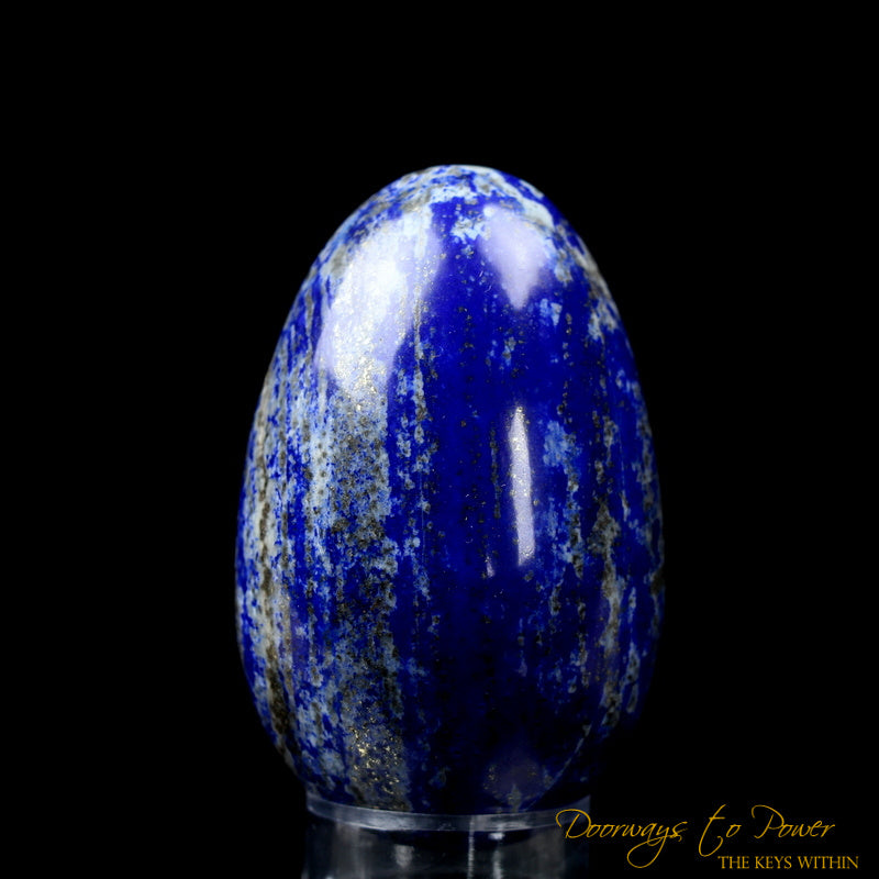 Lapis Lazuli & Pyrite Cosmic Egg Crystal 'Bird of Light'