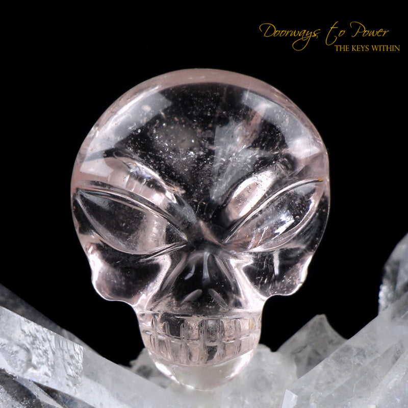 Leandro De Souza Morganite Hand Carved ET Crystal Skull 
