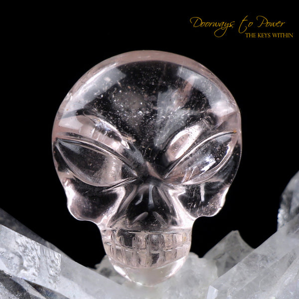 Leandro De Souza Morganite Hand Carved ET Crystal Skull Meditation