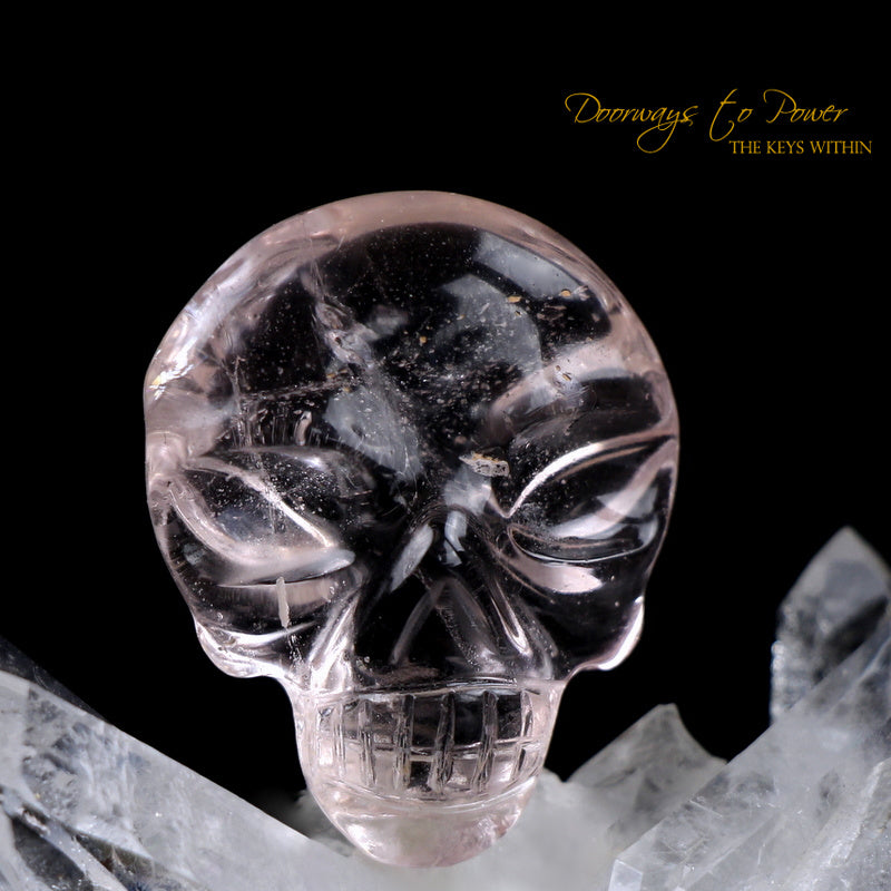 Leandro De Souza Morganite Hand Carved ET Crystal Skull 