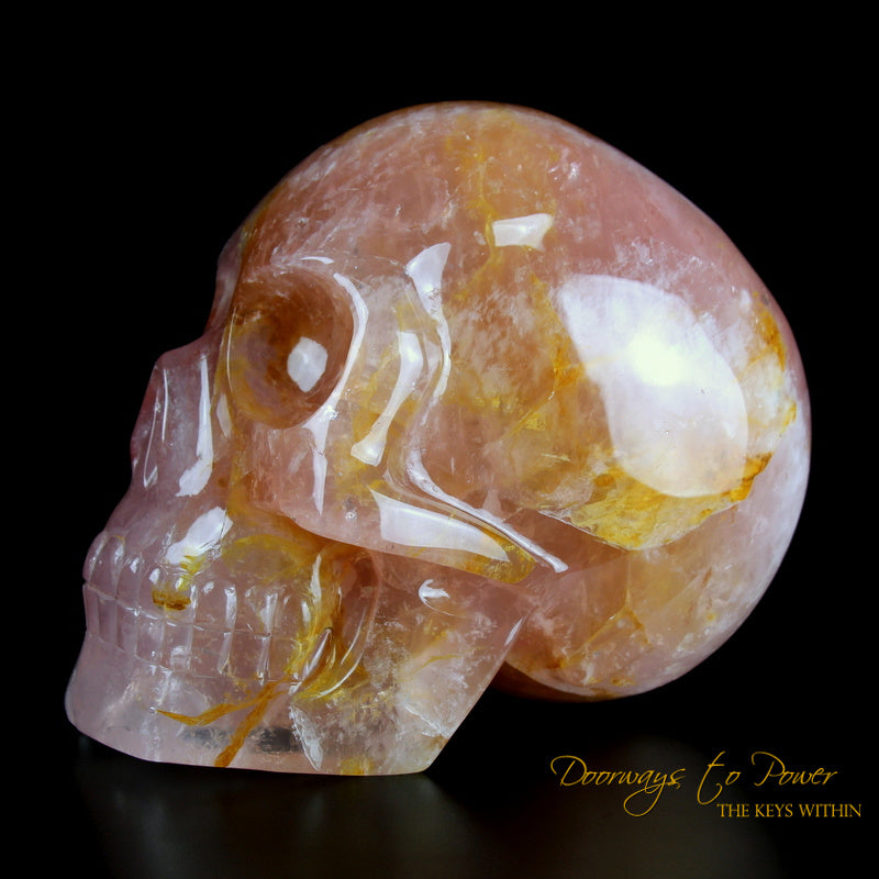 Rose Quartz Golden Healer Skull Leandro De Souza 