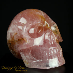 XL Rose Quartz Golden Healer Crystal Skull by Leandro De Souza 