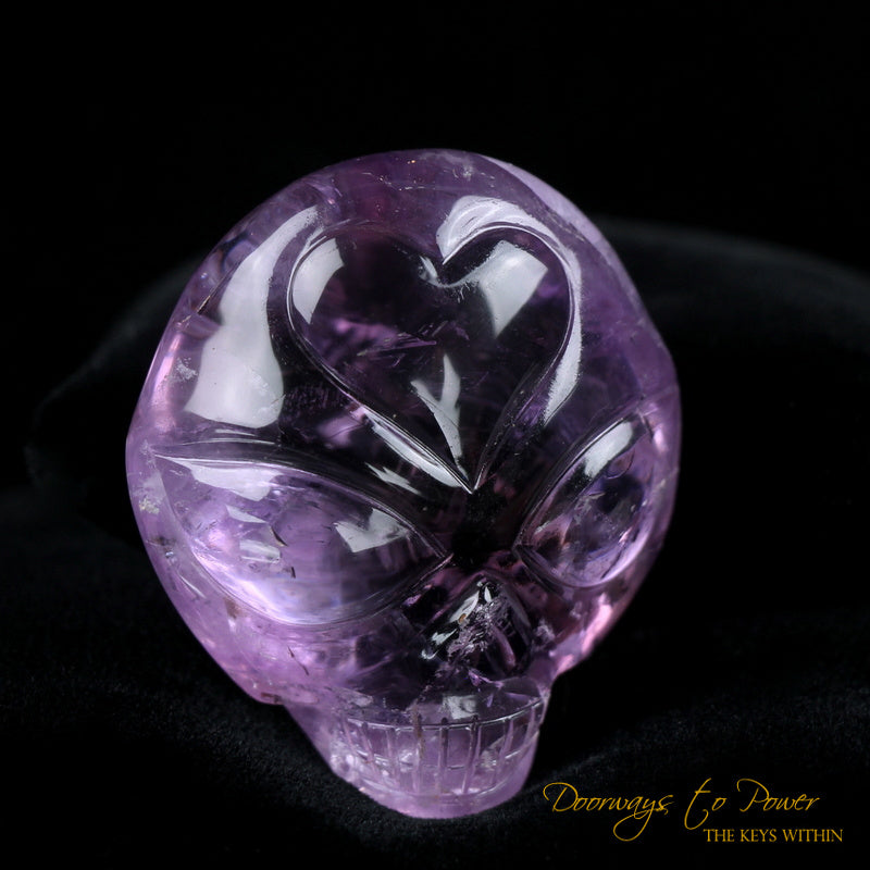  Amethyst Galactic Star Guardian Crystal Skull Leandro de Souza