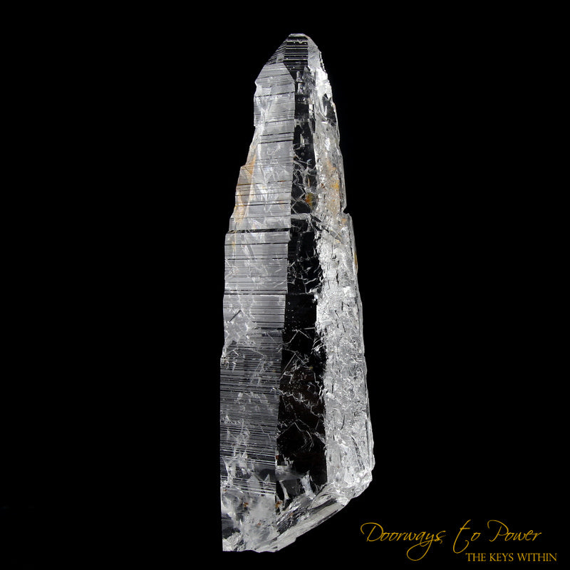Lemurian Light Quartz Record Keeper Crystal 9D 'Omnipresent Elder'