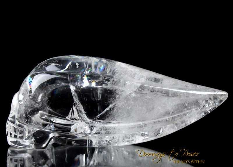 Leandro de souza Lemurian Traveler Skull