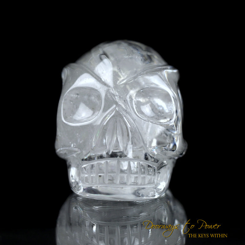 Lemurian Traveler Skull Leandro De Souza