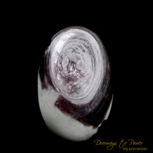 Lepidolite & Quartz Crystal EGG 'Bird of Light'