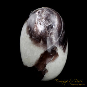 Lepidolite & Quartz Crystal EGG 'Bird of Light'