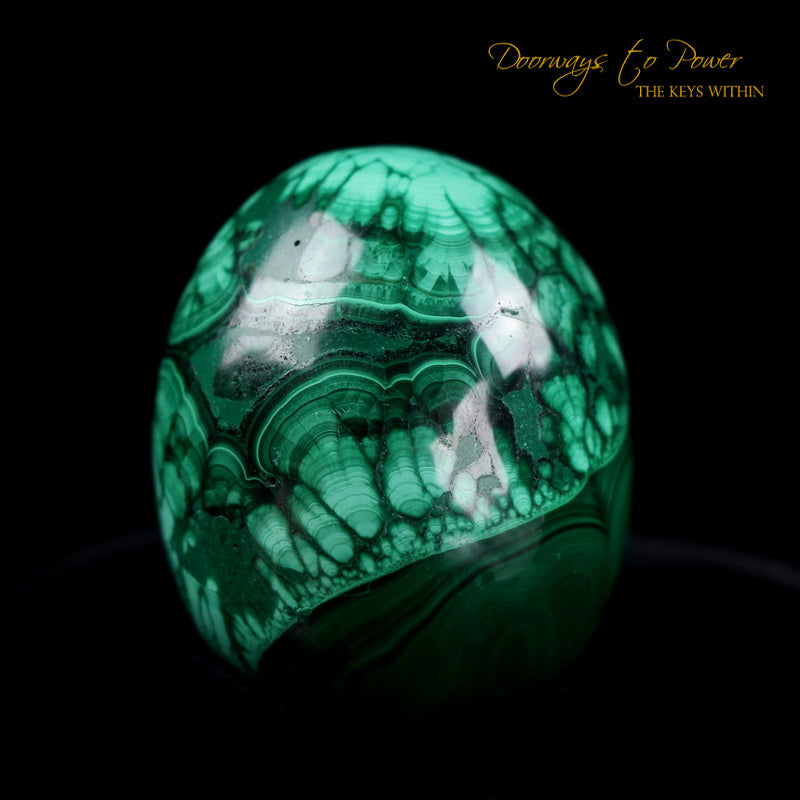 Malachite Crystal Egg