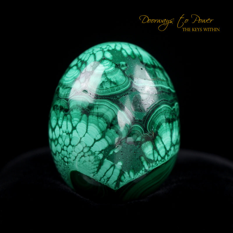 Malachite Crystal Egg
