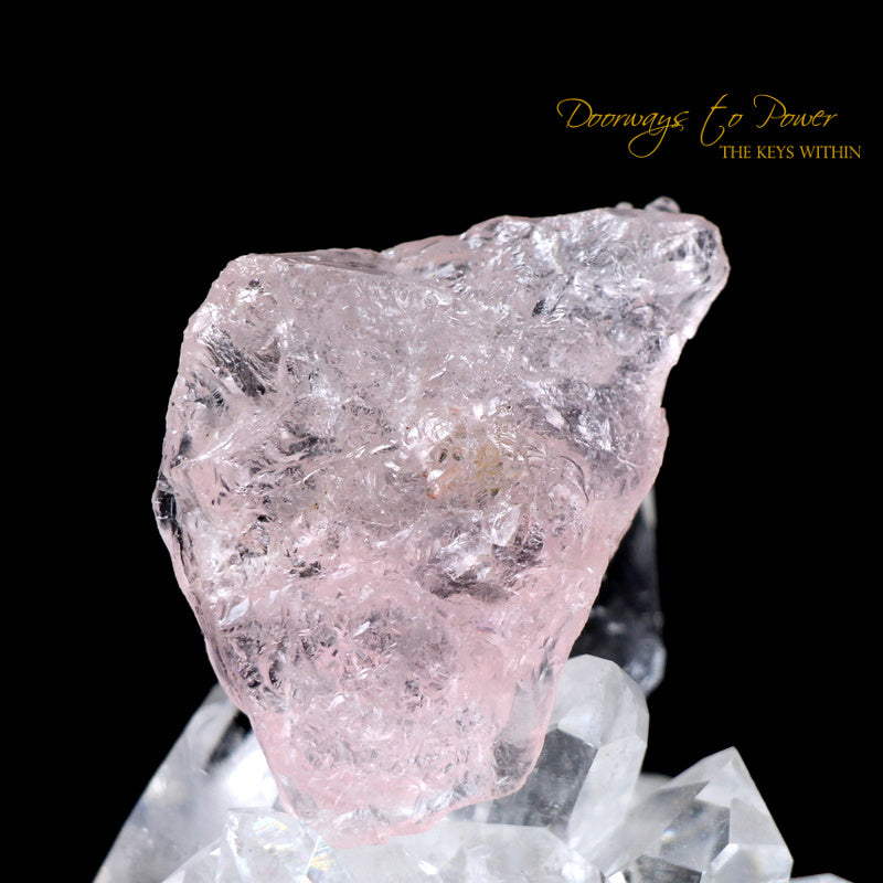 Morganite Dragon Crystal Carving Hand Carved 