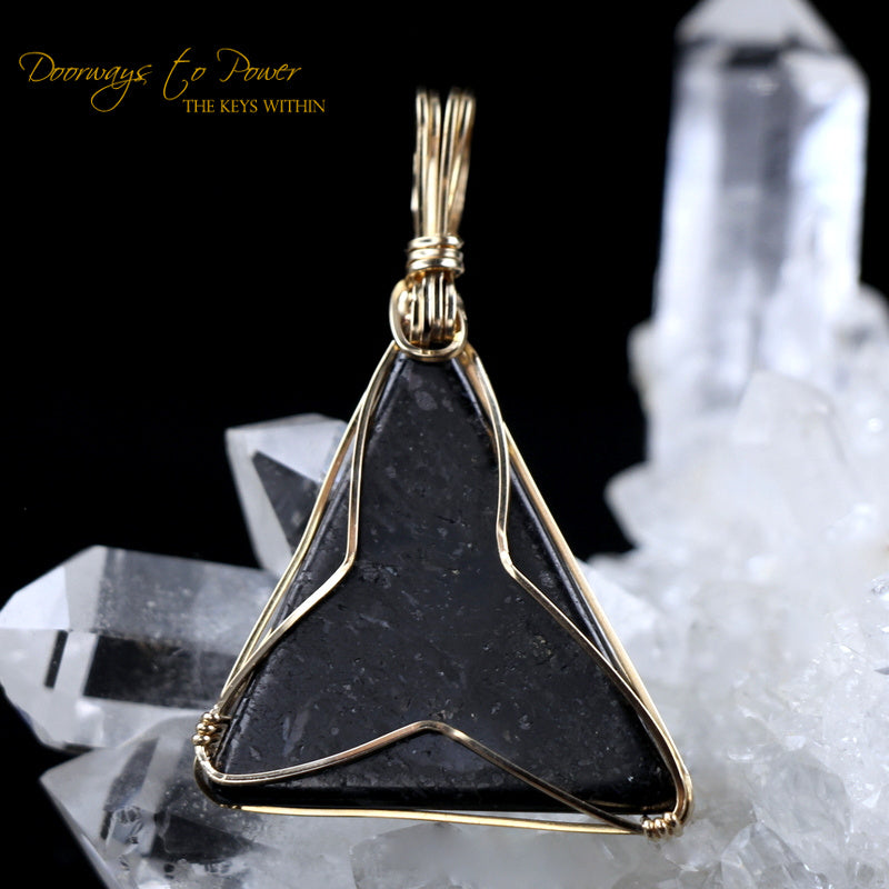 Nuummite Crystal Pendant 14k
