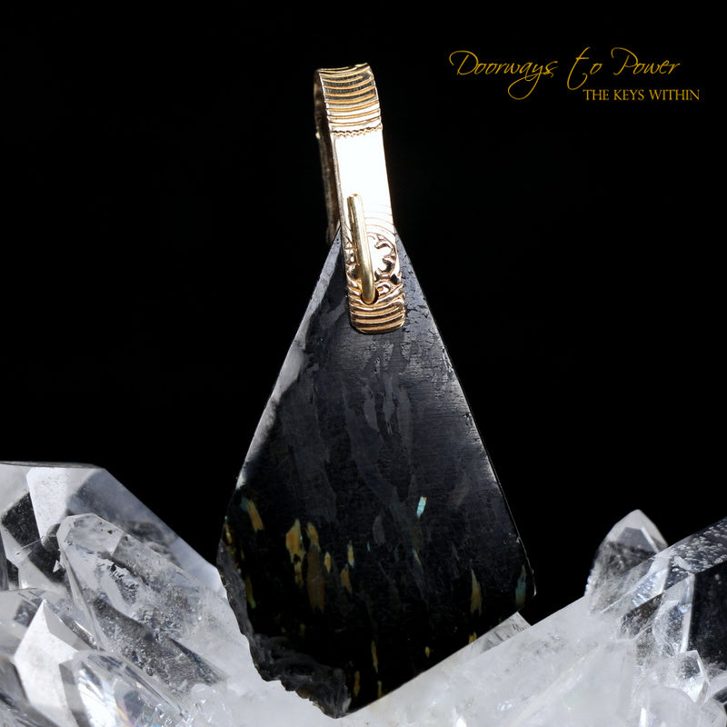 Nuummite Light Language Crystal Pendant 14k