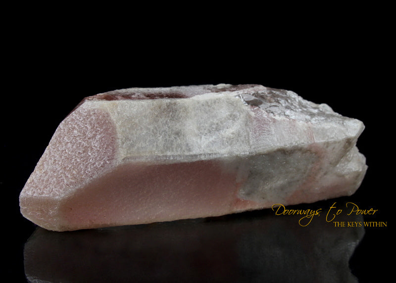Pink Dreamsicle Lemurian Quartz Crystal Record Keeper 'Open Portal Other Worlds'