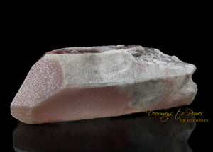 Pink Dreamsicle Lemurian Quartz Crystal Record Keeper 'Open Portal Other Worlds'