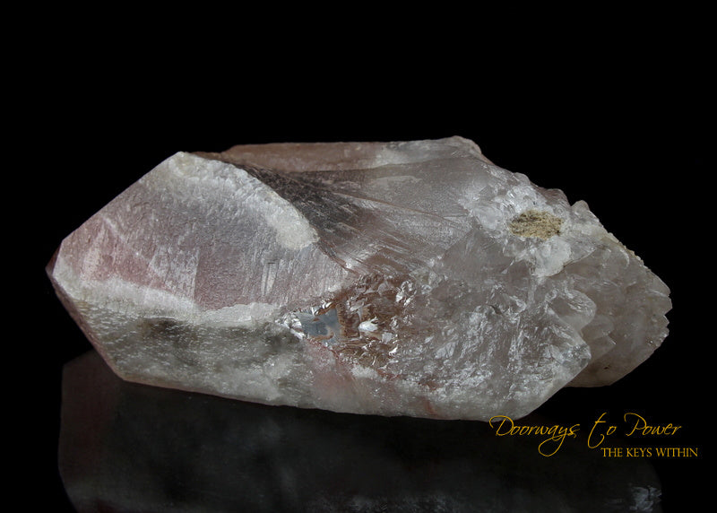 Pink Dreamsicle Lemurian Quartz Crystal Record Keeper 'Open Portal Other Worlds'