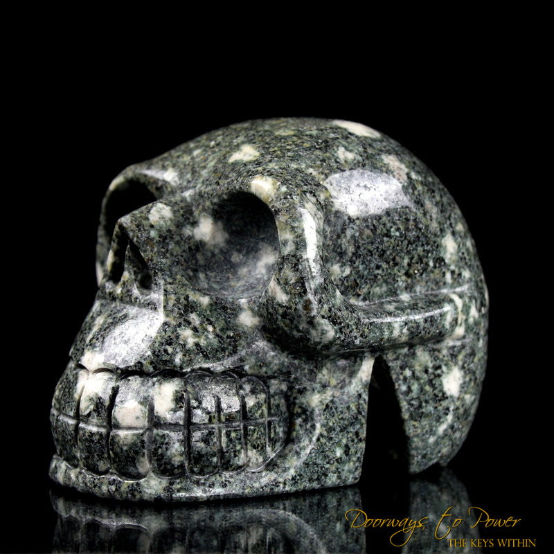 Preseli Stonehenge Bluestone Crystal Skull