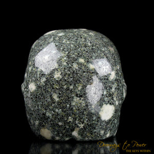 Preseli Stonehenge Bluestone Crystal Skull