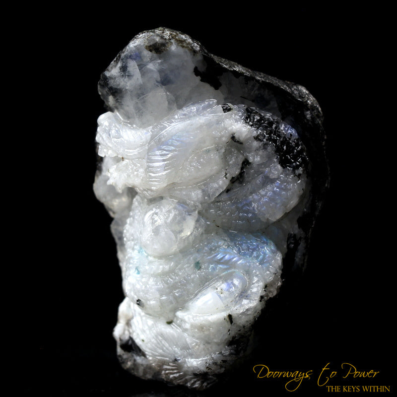 Large Rainbow Moonstone Dragon Crystal Carving 'Awaken the Dragon'