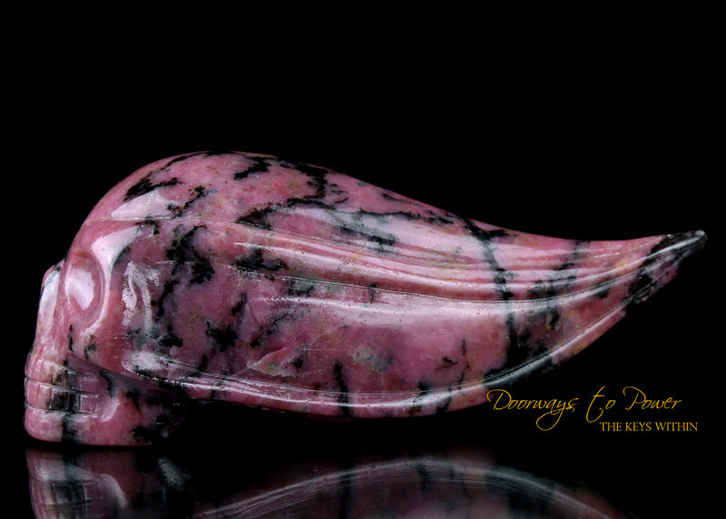 Rhodonite Traveler Crystal Skull 'Dreamer'