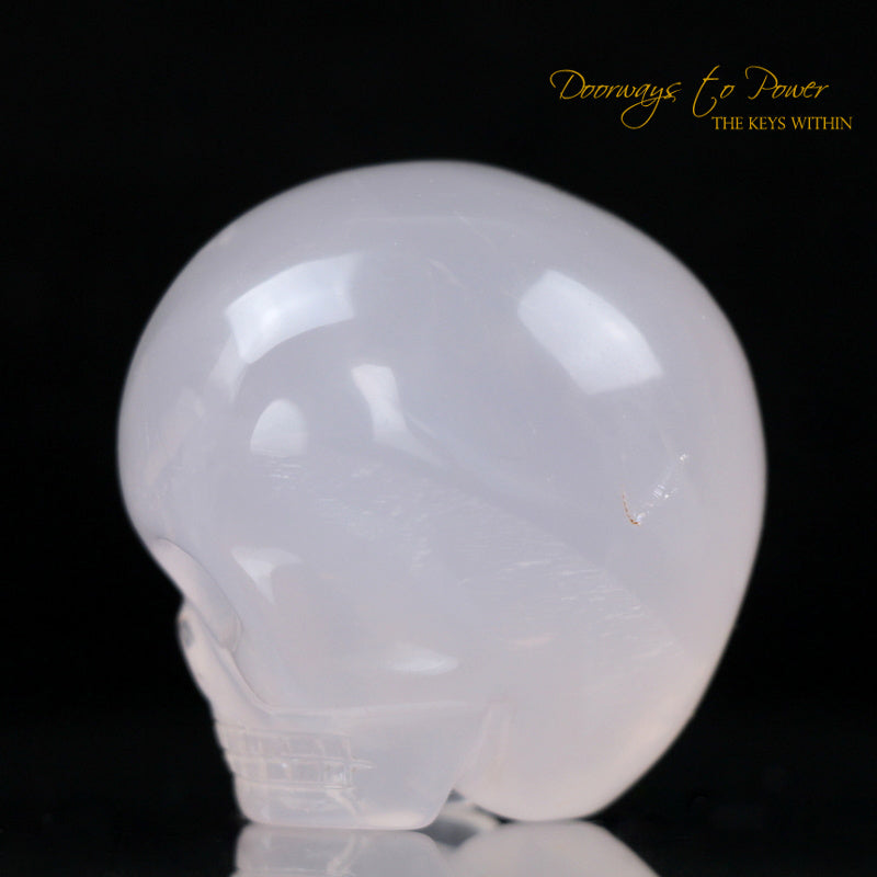 Leandro De Souza Crystal Skulls