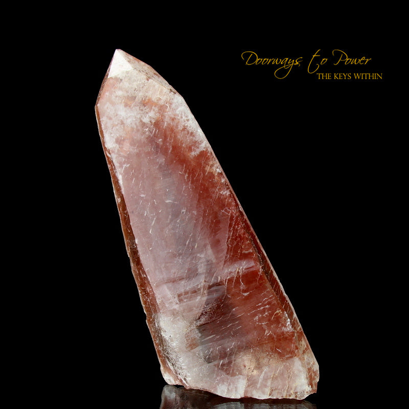 Scarlet Temple Rosetta Stone Cassiopeia Starbrary Lightning Struck Lemurian Crystal