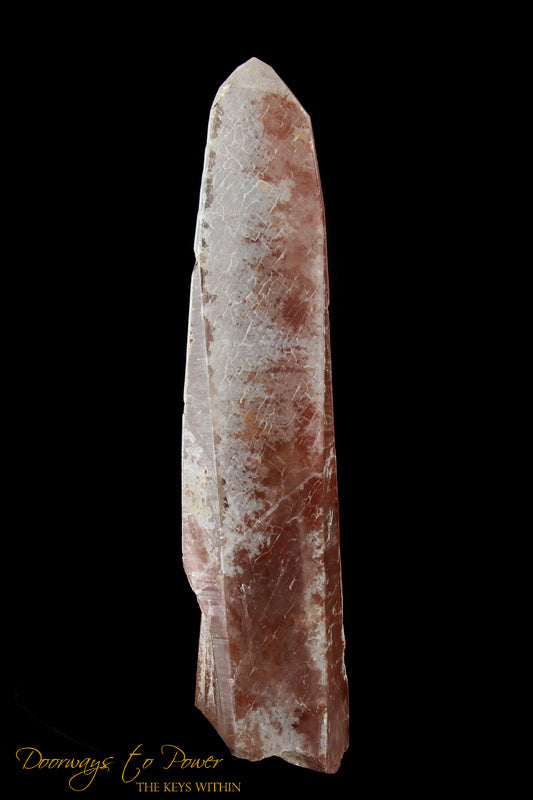 Scarlet Temple Rosetta Stone Cassiopeia Starbrary Lightning Struck Lemurian Wand